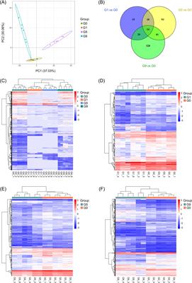 LC-MS based metabolomics identification of natural metabolites against Fusarium oxysporum